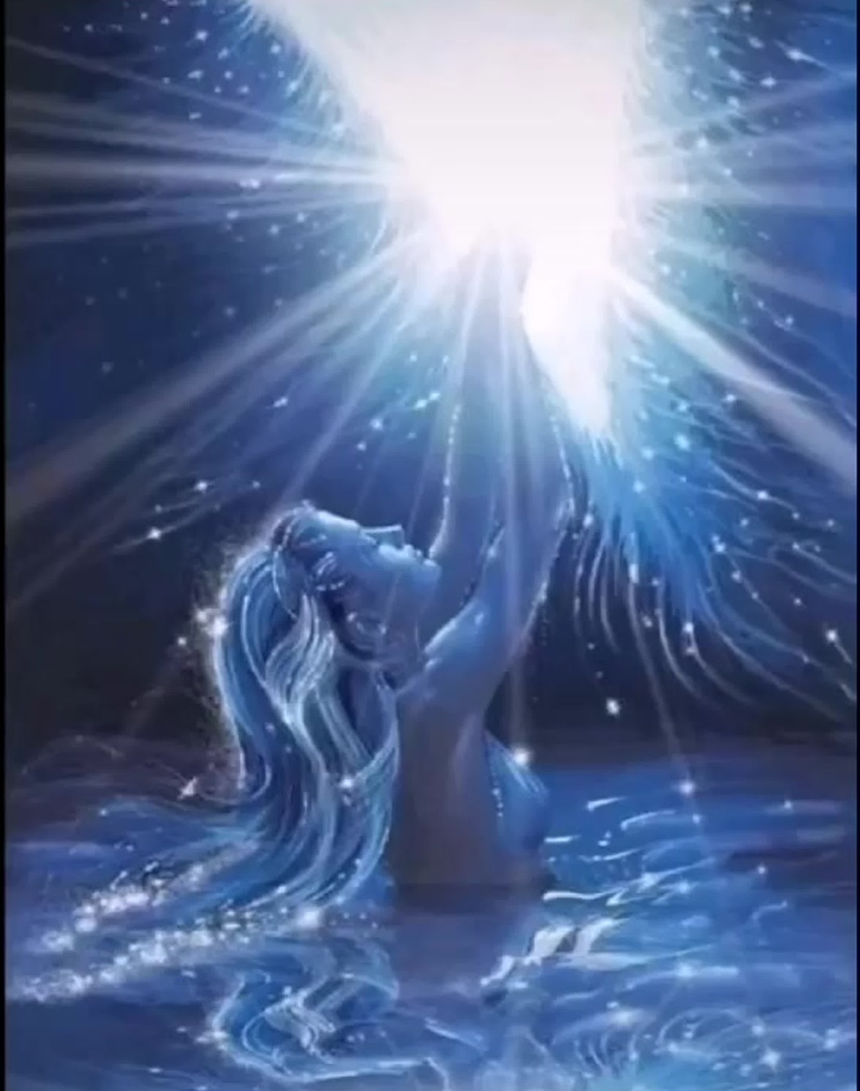 Фото из Яндекса