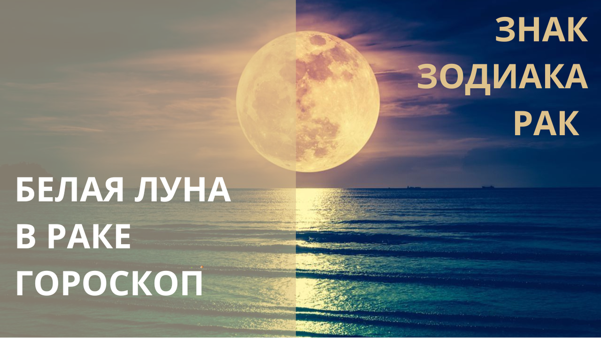 Полнолуние. Фото в свободном доступе.