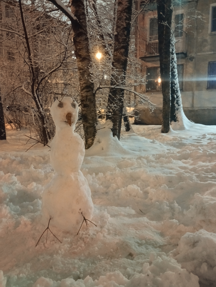 Житель нашего двора. 