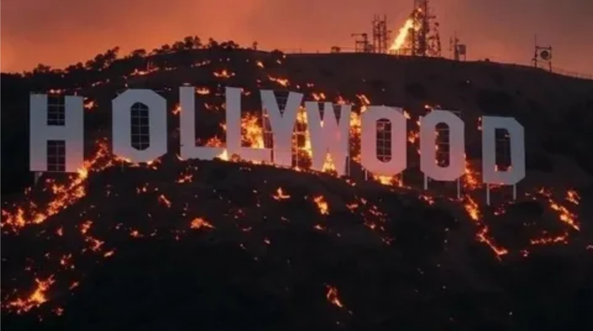 Источник: Яндекс