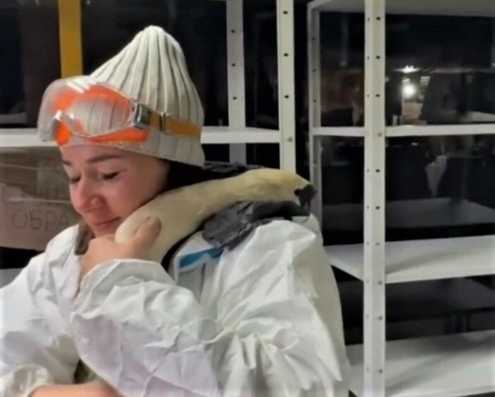     / Источник: Кадр из видео