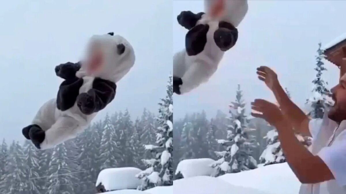    Сергей Косенко бросает своего ребёнка в снег.