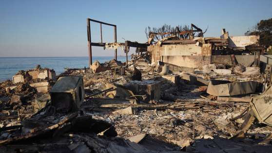    В Калифорнии число жертв лесных пожаров увеличилось до 25 Виктория Шварц