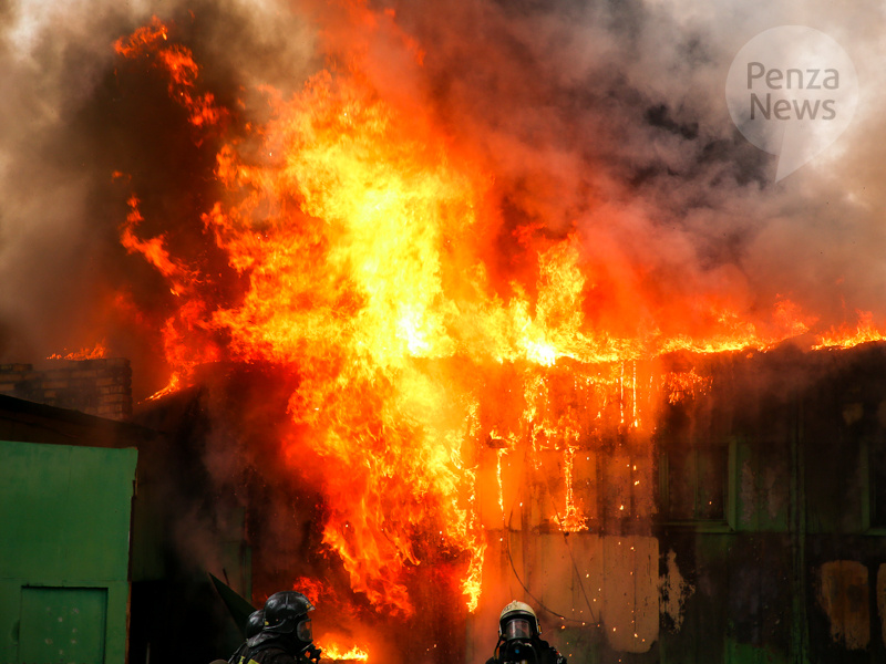    © Фото из архива ИА «PenzaNews»