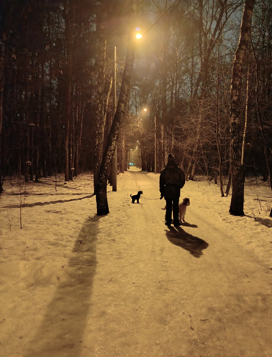 Наши вечерние ежедневные покатушки