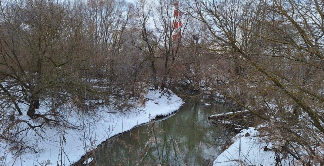    Фото: Росприроднадзор