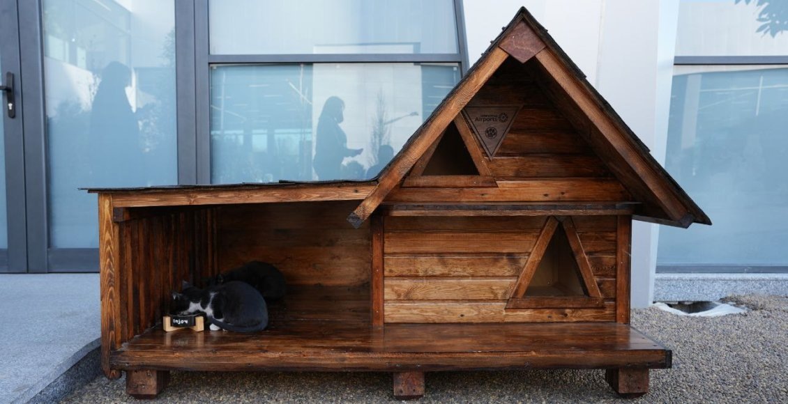    Фото: t.me/uzbairportsuz