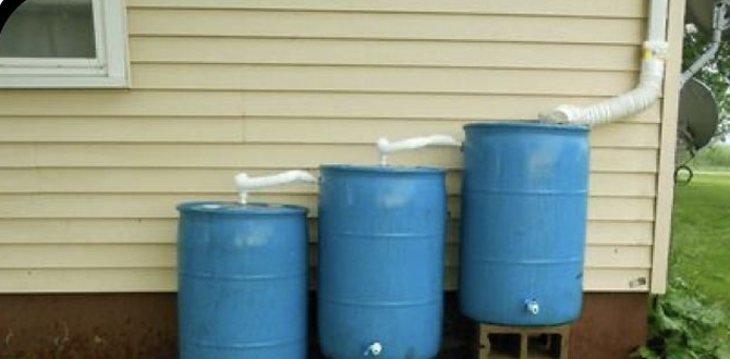 Сбор дождевой воды, экономия и польза