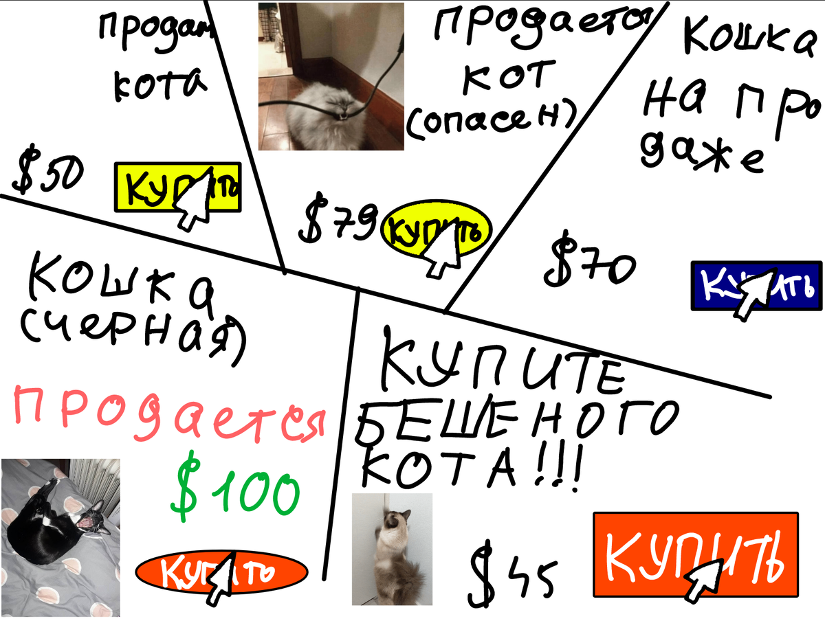 Коты? Отличная идея!