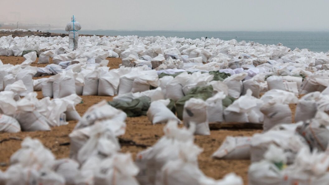    Belkin Alexey/news.ru/Globallookpress