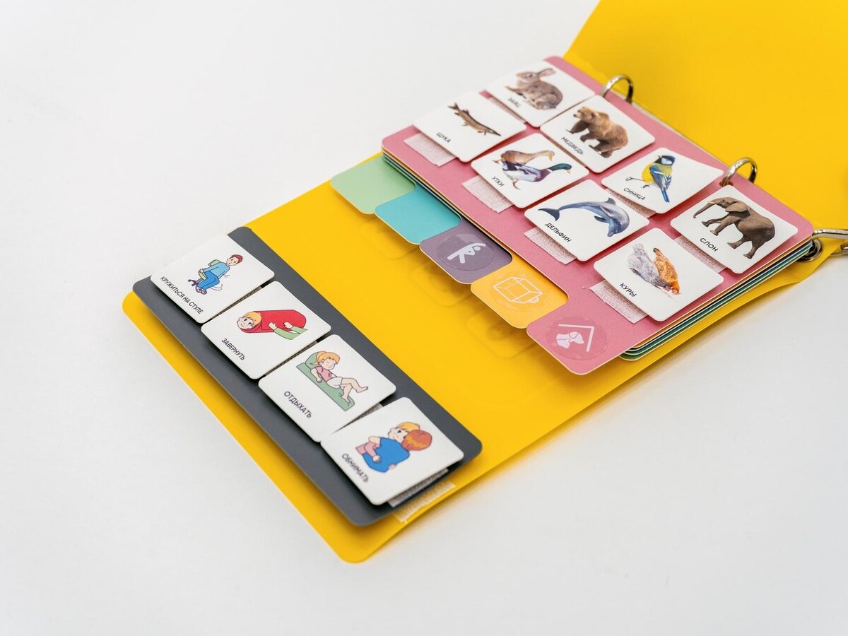 Коммуникативная книга с карточками PECS/ПЭКС (Большая) от компании «АЛМА»