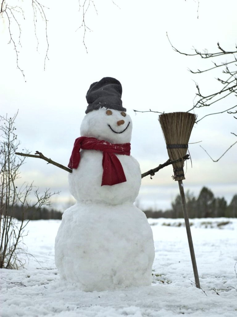 Снеговик. Фото взято из открытых источников 