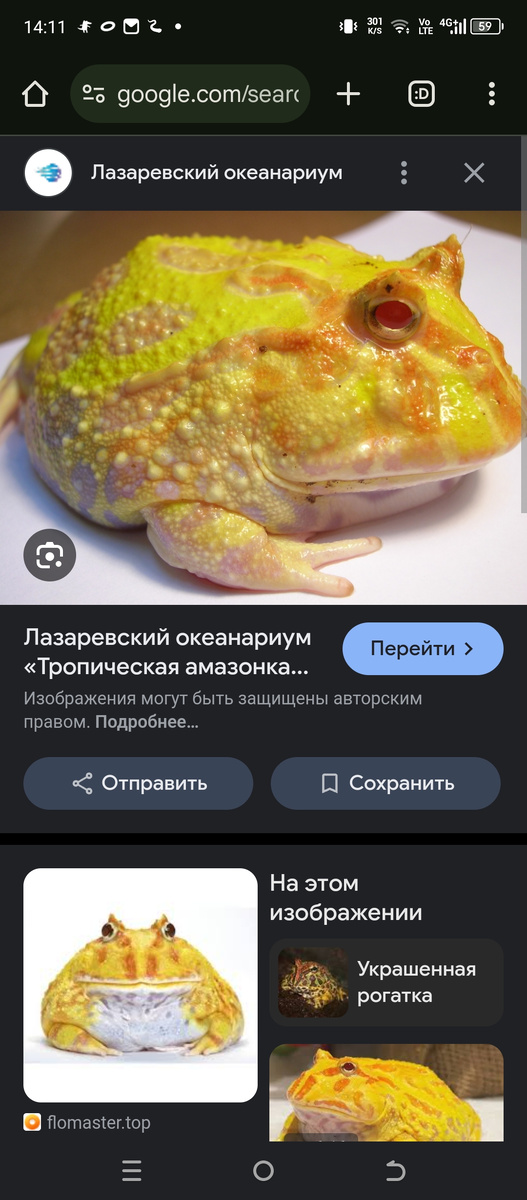 Она будет выглядеть вот так