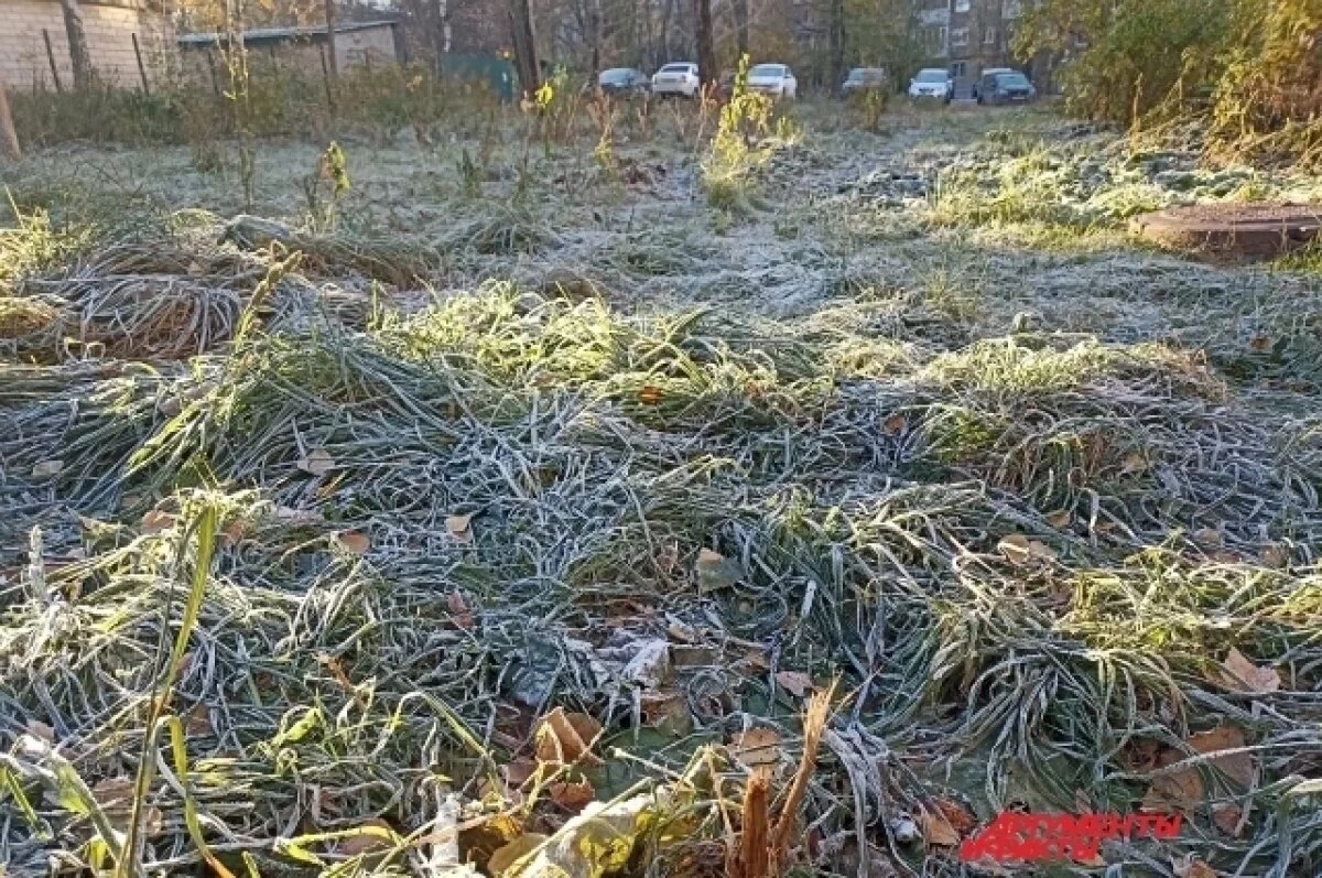    Во Владимире председатель СНТ попытался обдурить мэрию ради земли