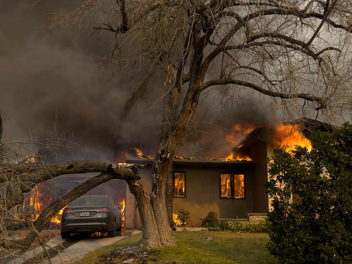     / Источник: © Nick Ut/Global Look Press