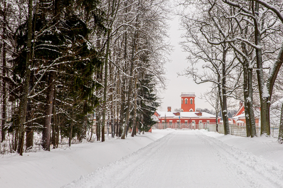 Фото: ГМЗ «Царское Село», Екатерина Новак