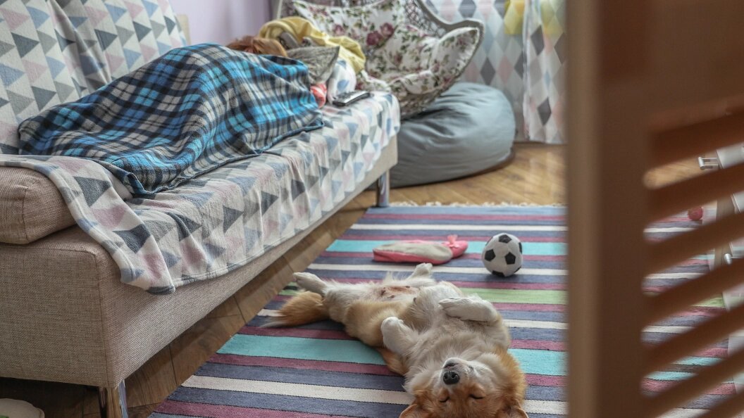    Фото: Bulkin Sergey/news.ru/Globallookpress