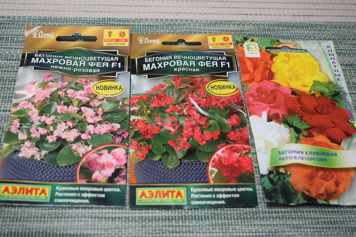 семена покупаю в садовом магазине(фото автора)