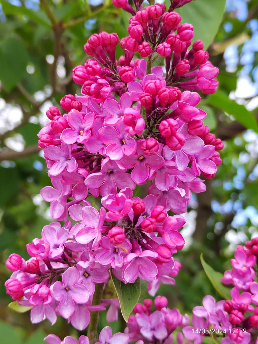 Фото автора канала. 