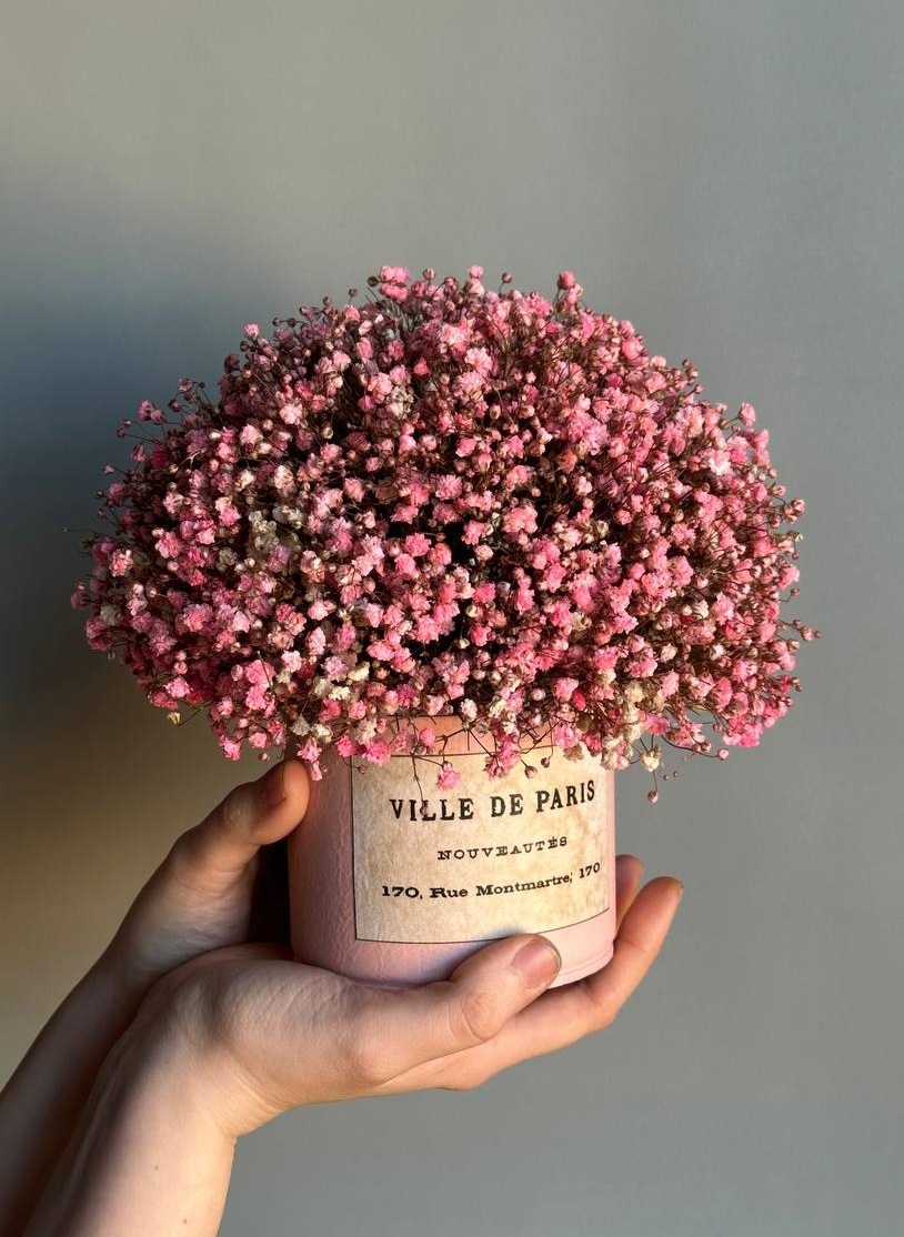 Стабилизированная гипсофила - не высыхает, остается мягкой, пушистой и красивой несколько лет. 