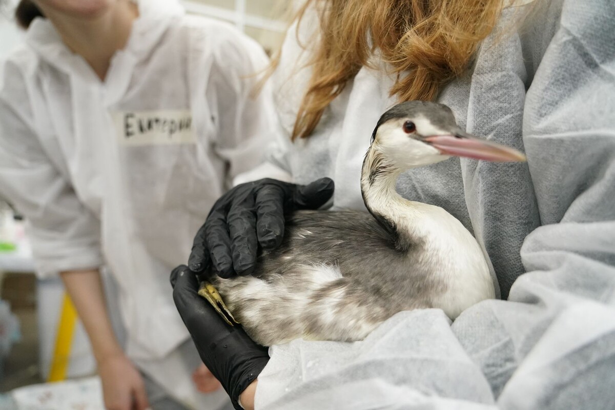     / Источник: © ИЗВЕСТИЯ/Павел Волков