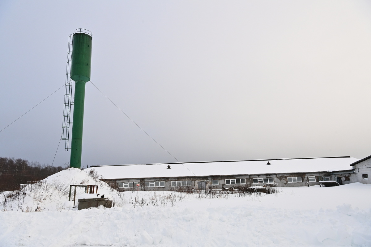    Фото: «Республика» / Сергей Юдин