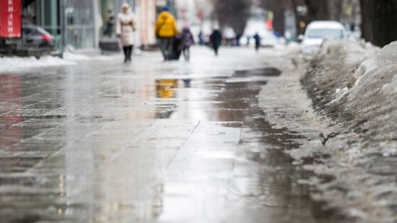    Синоптик Шувалов заявил об аномальной погоде, с которой начался год в ряде российских регионов Ирина Петрова