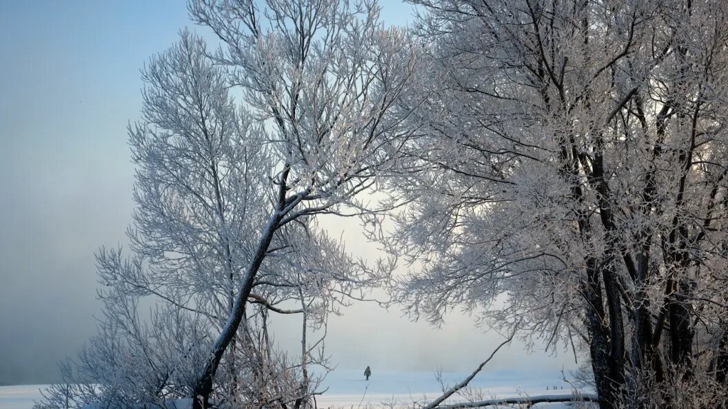    Фото: Геннадий Макарычев / Globallookpress.