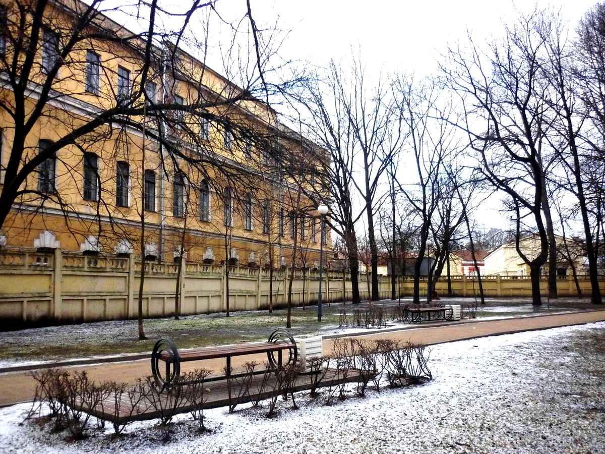 Специфическая питерская зима. Фото автора