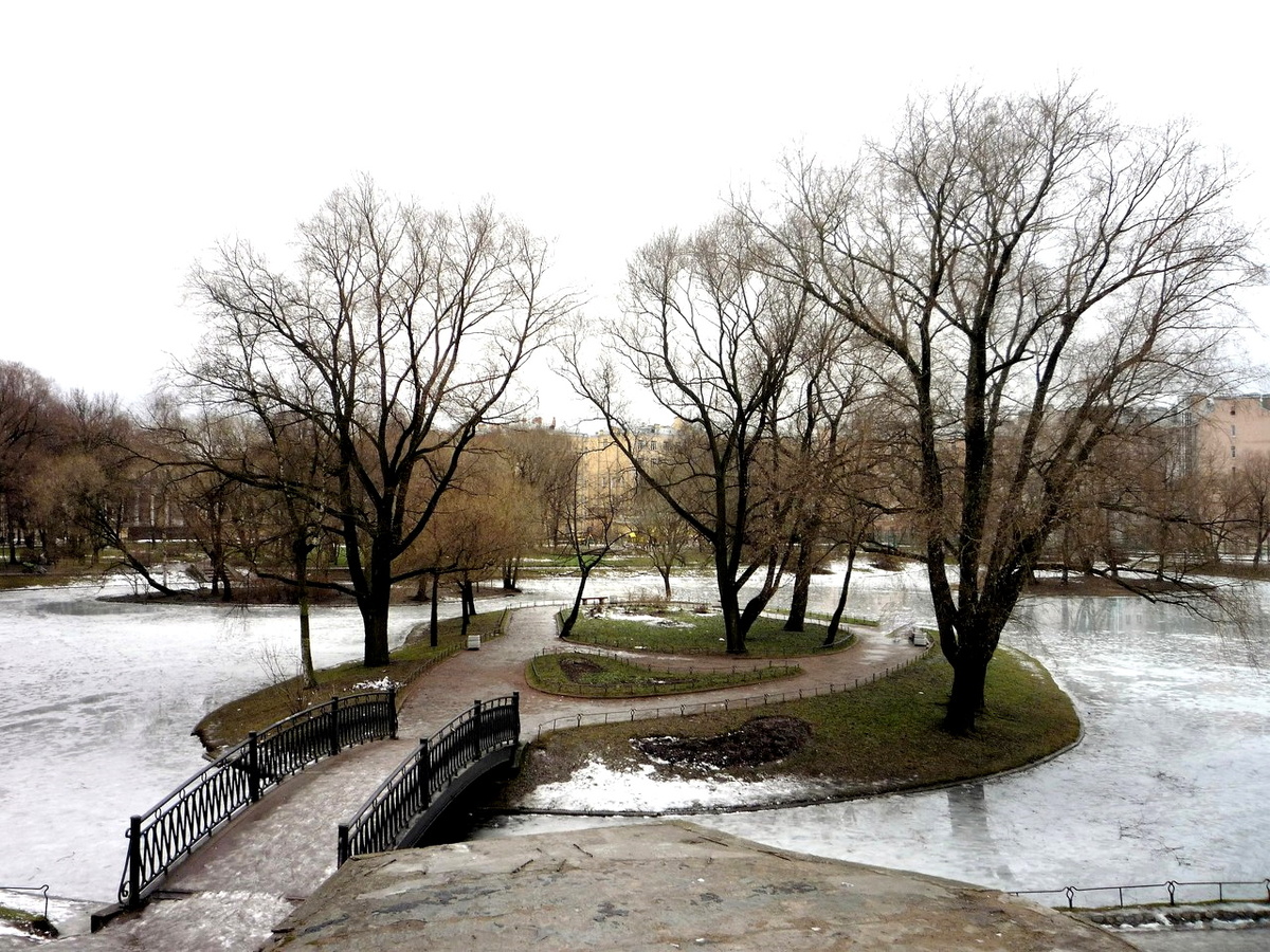 Специфическая питерская зима. Фото автора