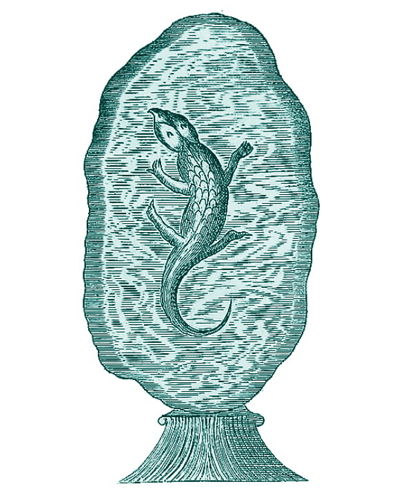     Янтарь как задача государственного масштаба: использование в древности и сейчас Антон Бахарев