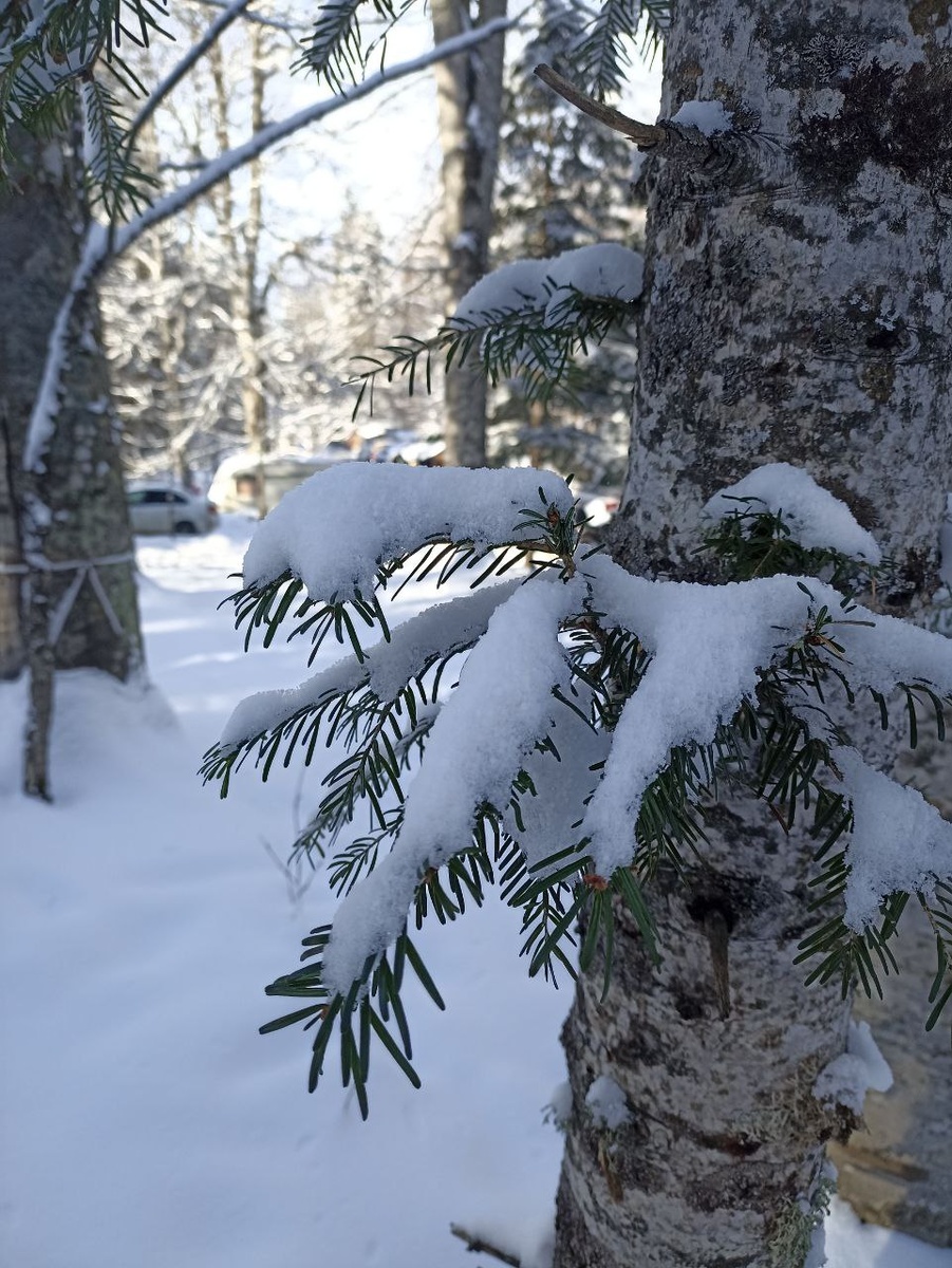 Красота в Лаго-Наки неописуемая... но мы попробуем