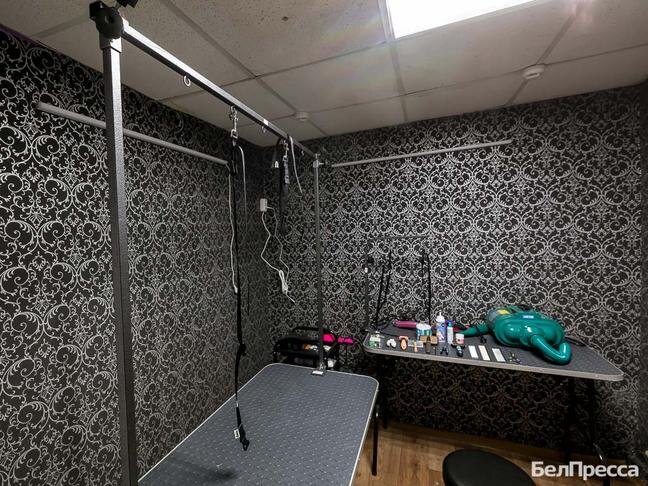 Фото: Павел Колядин