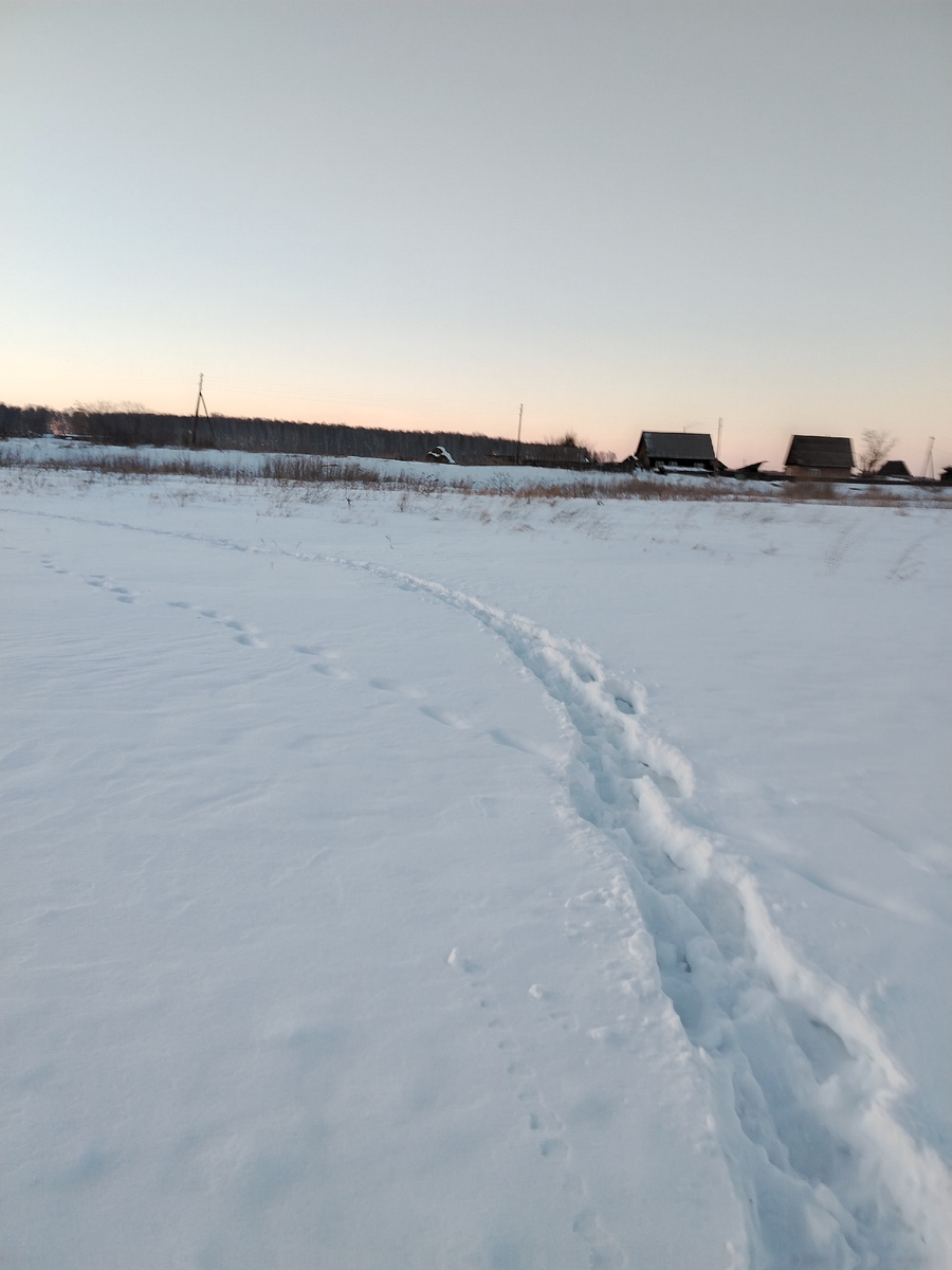 Следы в никуда 