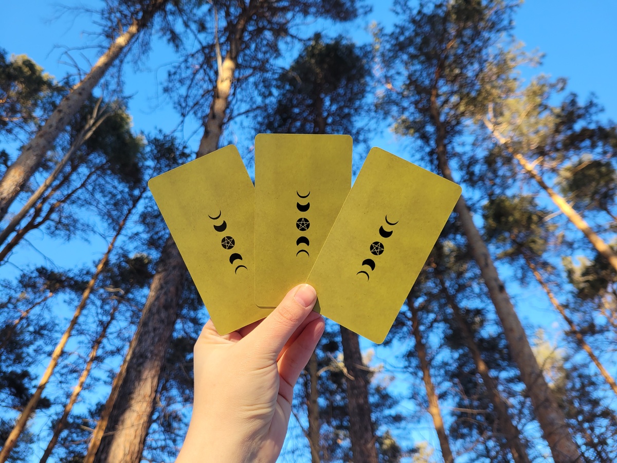 Фото сделано автором канала.