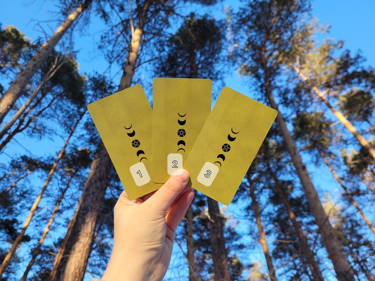 Фото сделано автором канала.