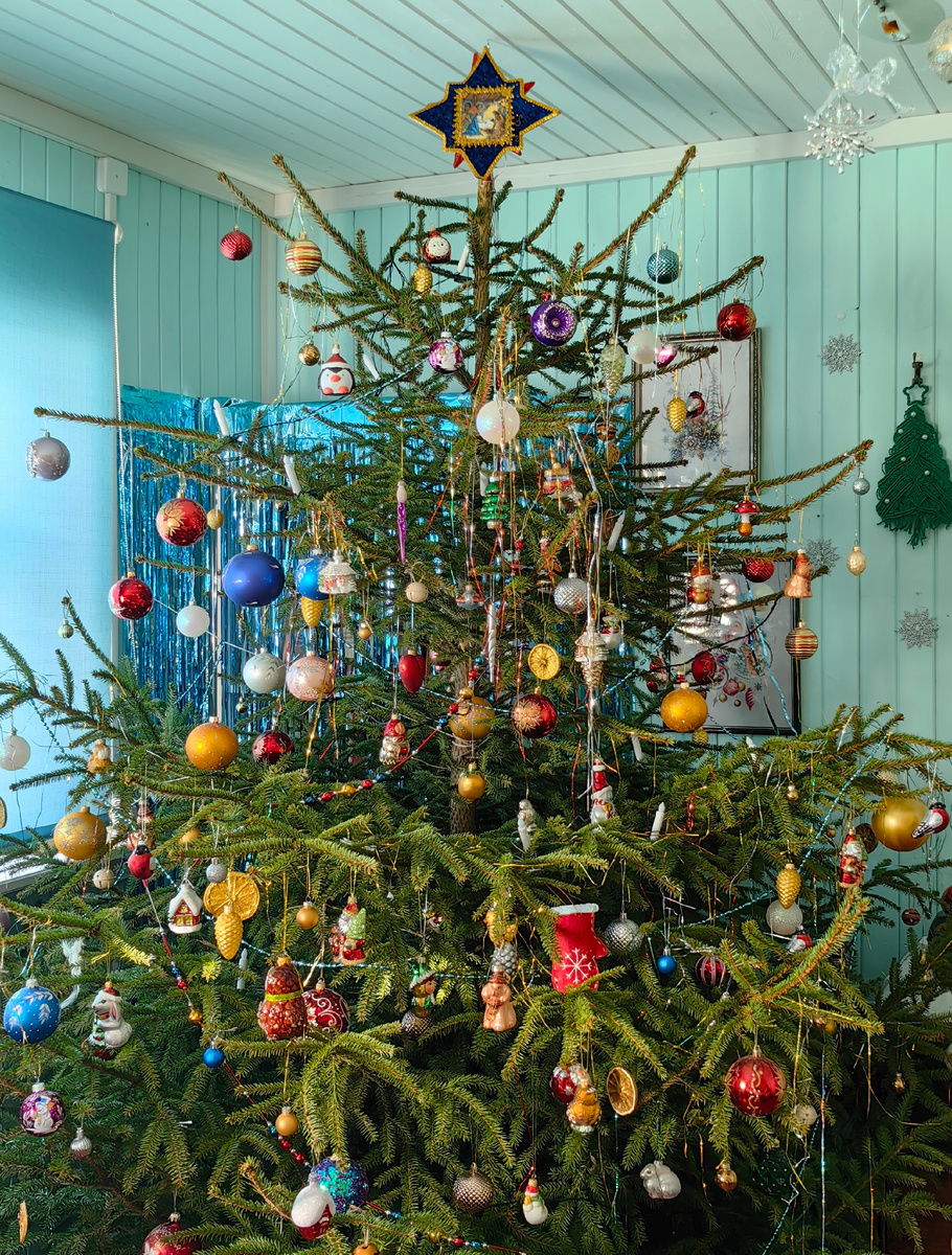 Елка в этом году у нас необыкновенно хороша!