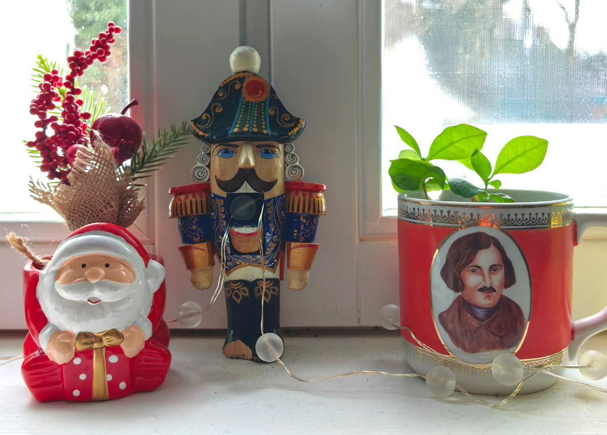 Литературно-новогодний уголок)