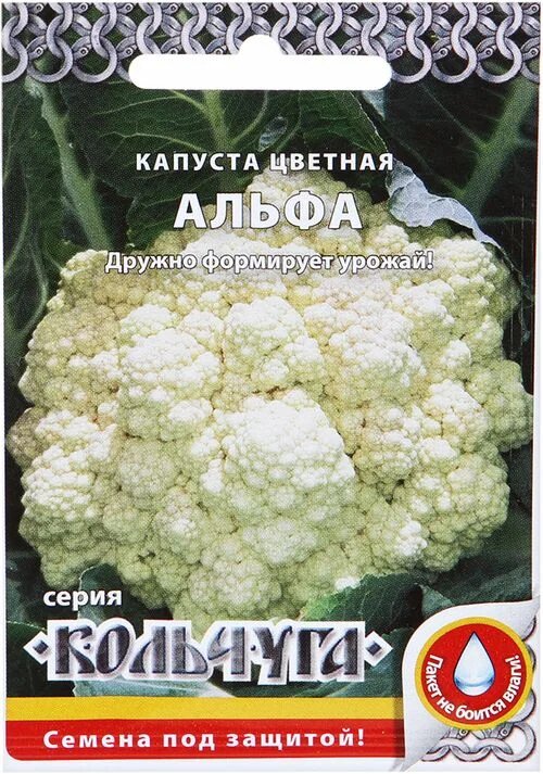 Альфа - надеюсь, что все получится.