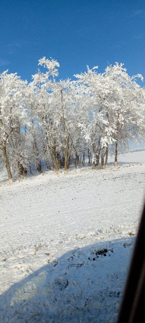 Немного нашей сказки. Фото от мамы прямиком из родных мест