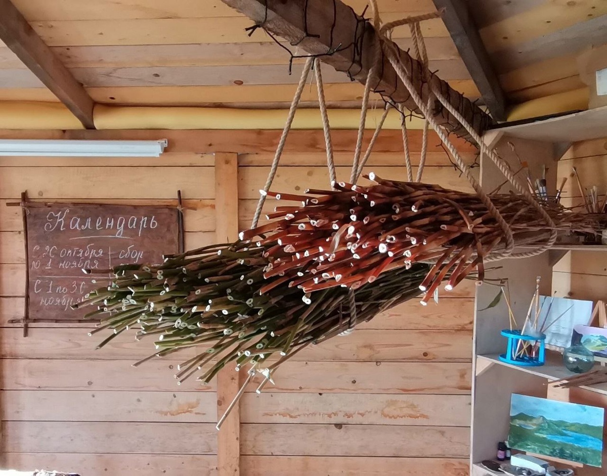 На фото лесной камыш (коричневый) и бамбук (зеленый)