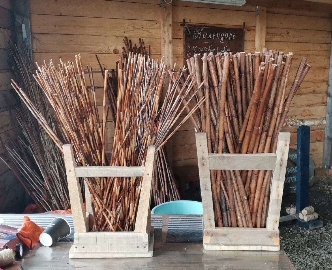 Слева лесной камыш, справа — рейнутрия