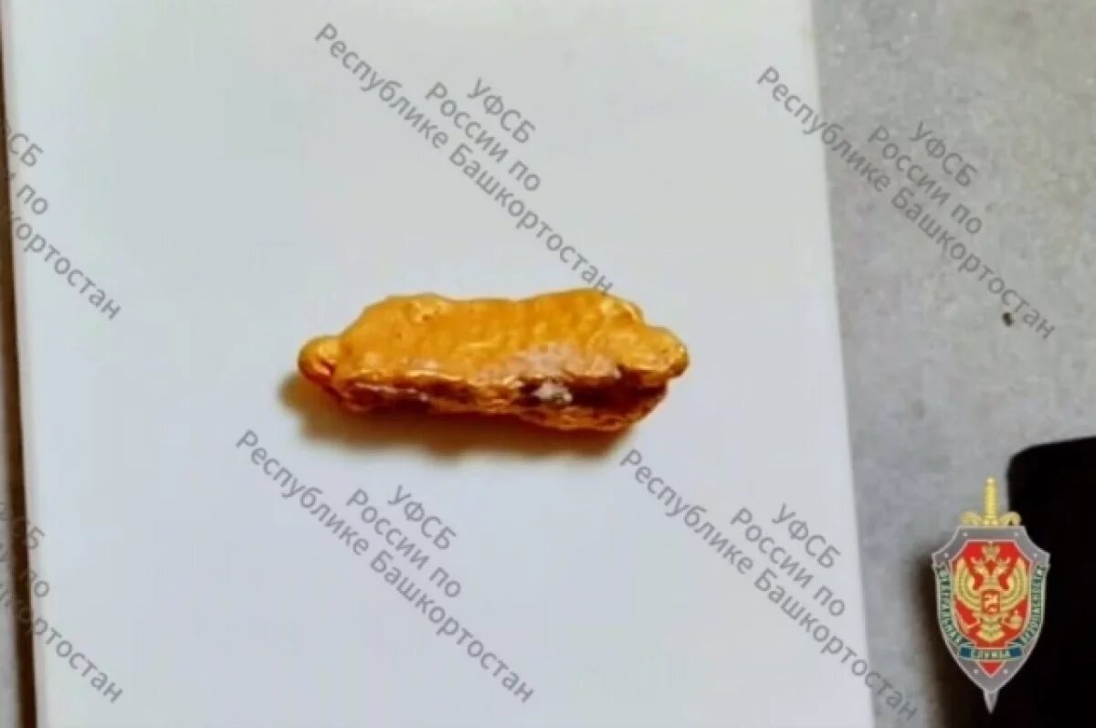    В Башкирии задержали нелегального золотодобытчика с самородками на 14 млн