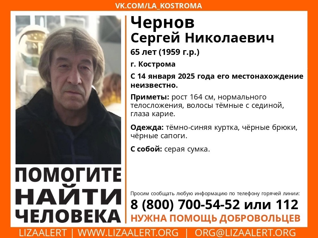    Фото: "ЛизаАлертКострома".