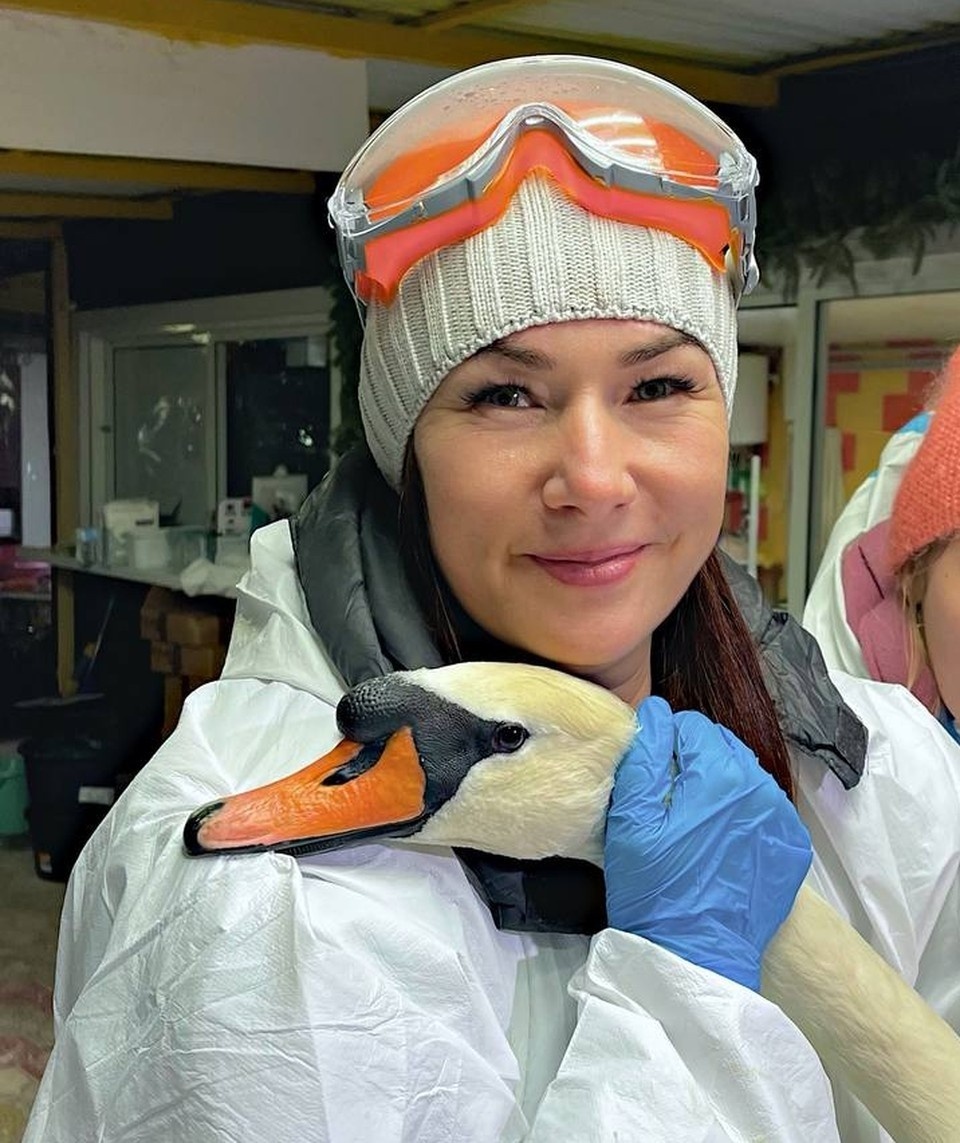 Фото Ларисы Шульц с тем самым лебедем: