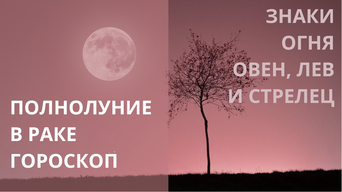 Полнолуние. Фото в свободном доступе.