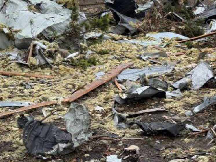 Фото: Соцсети