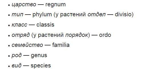 Из энциклопедии