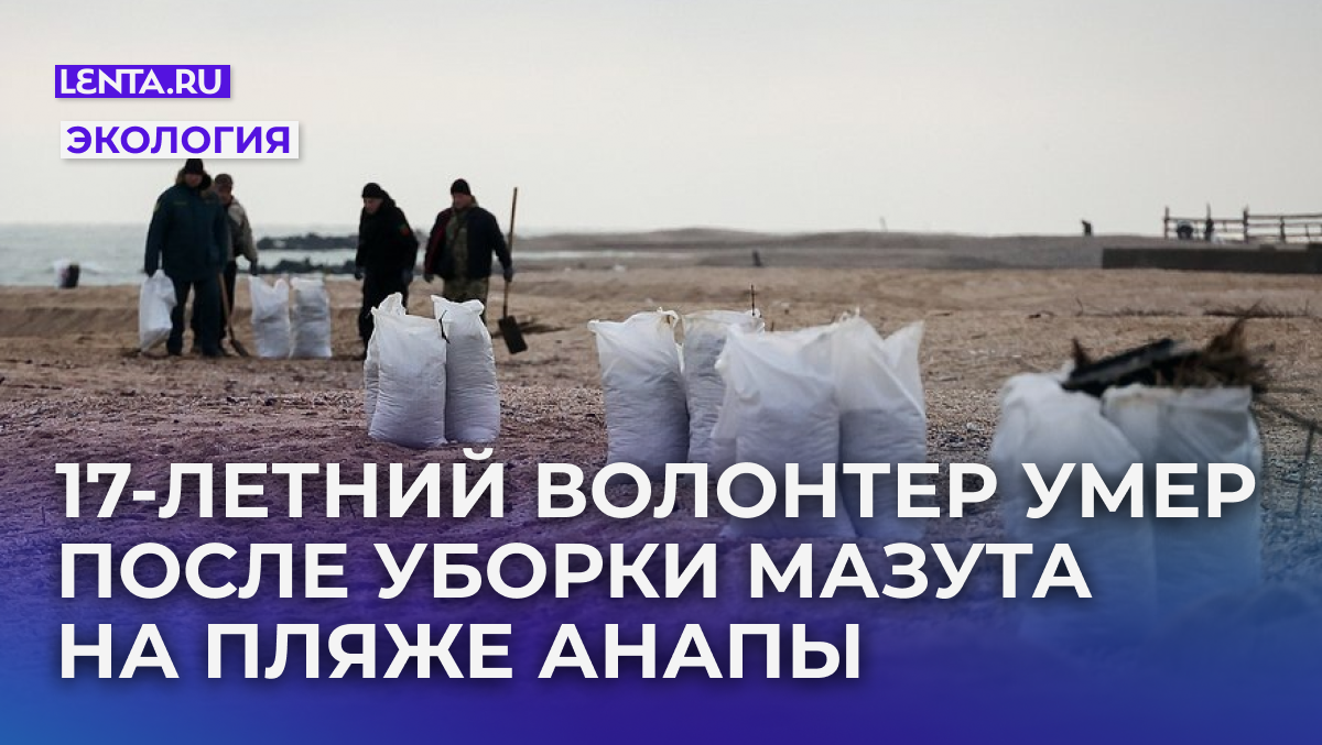 Фото: Александр Полегенько/ТАСС