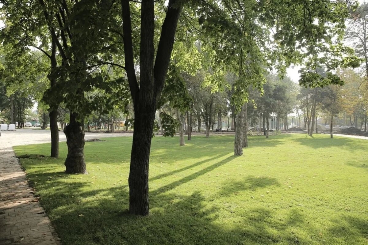    Объем курортного сбора в Краснодарском крае вырос на 10,5% в 2024 году